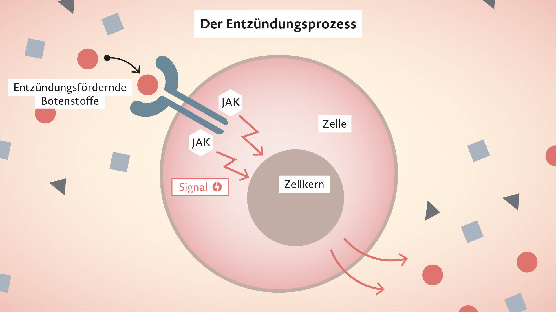 Rinvoq Wirkweise bei Psoriasis-Arthritis