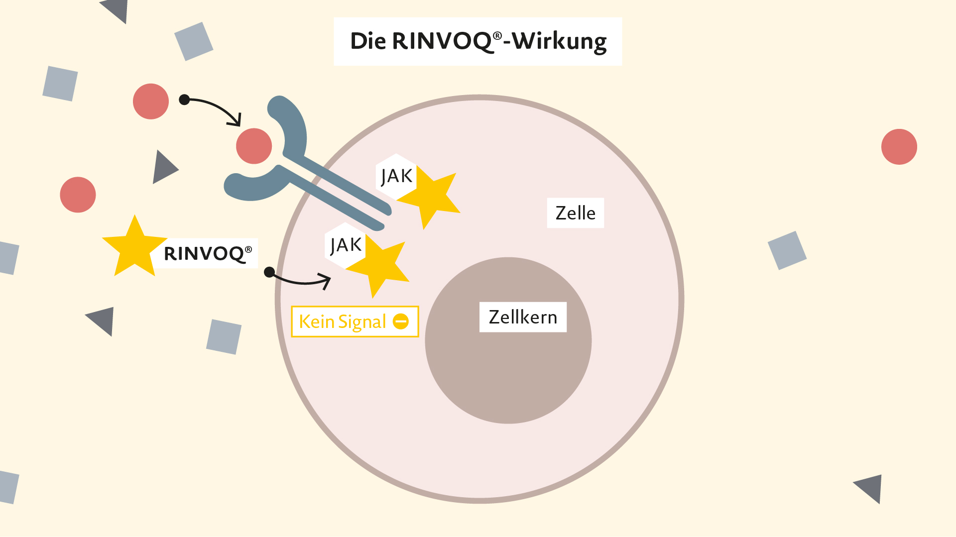 Rinvoq Wirkweise bei Psoriasis-Arthritis