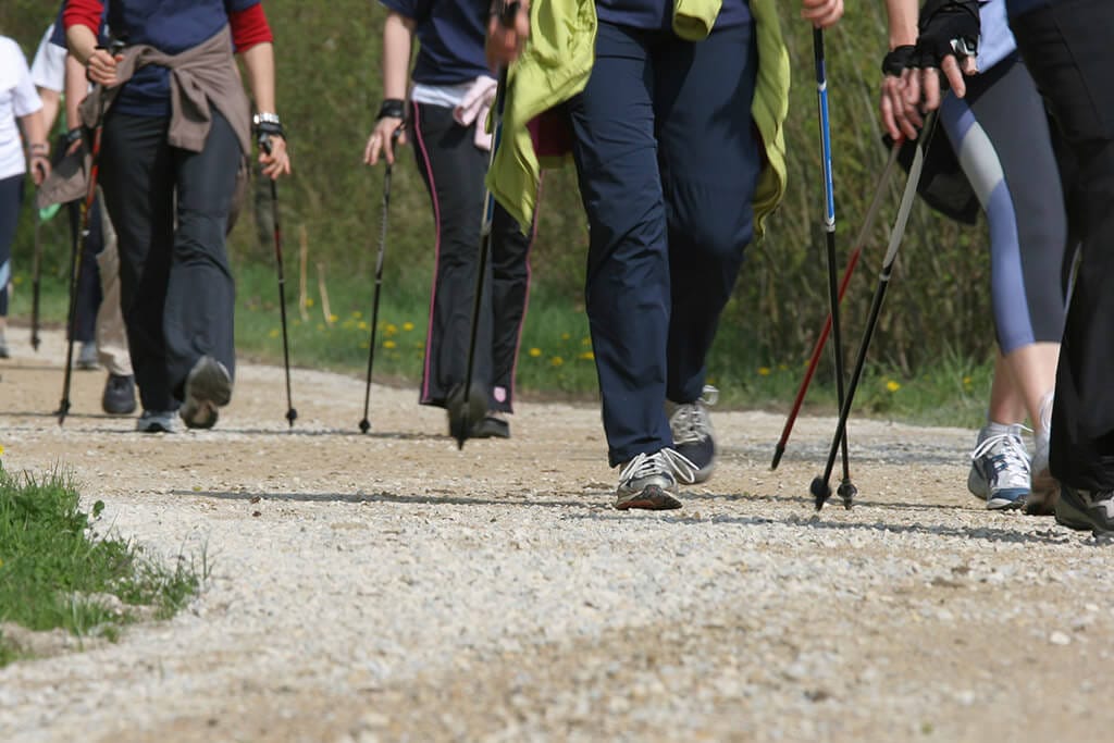 Mehrere Personen beim Nordic Walking im Wald.