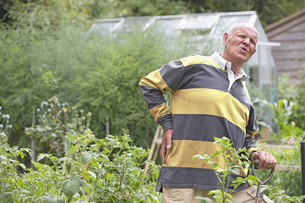 Ein älterer Mann hält sich schmerzend den Rücken bei der Gartenarbeit.