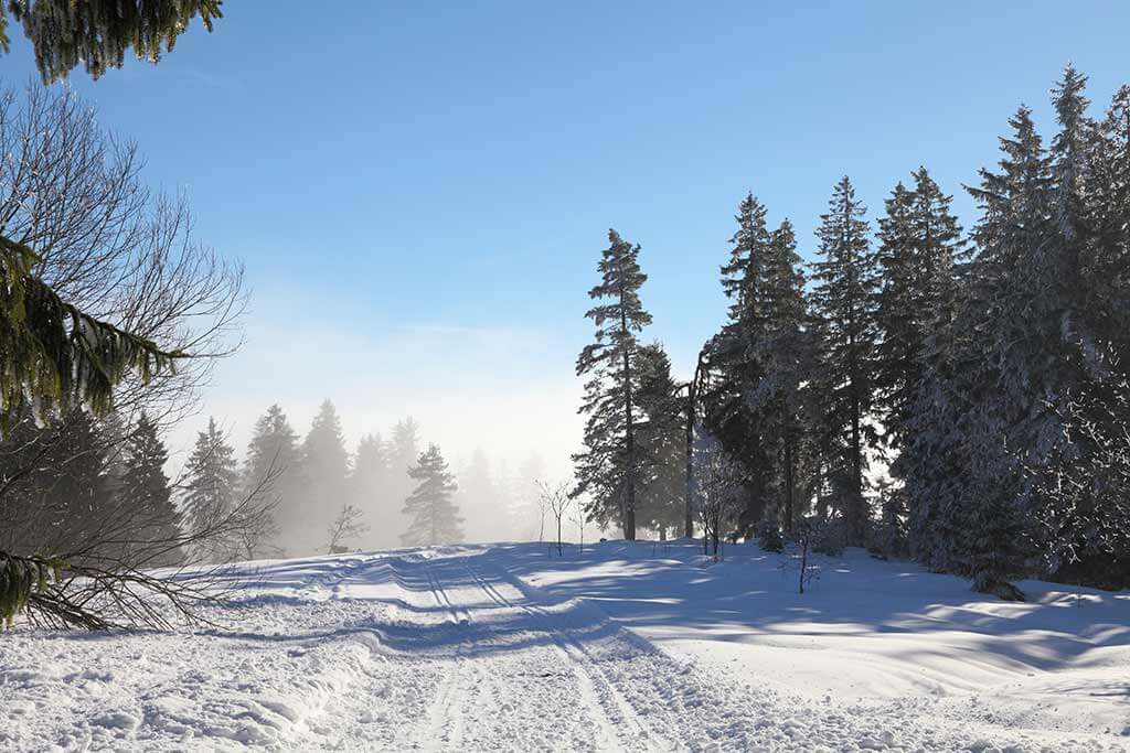 Ein verschneiter Weg im Wald bei Sonnenschein.