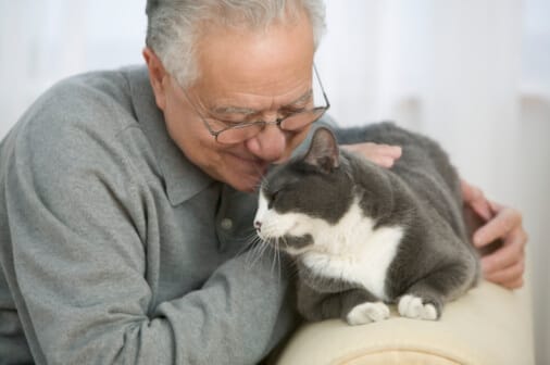 Ein älterer Herr streichelt seine Katze.