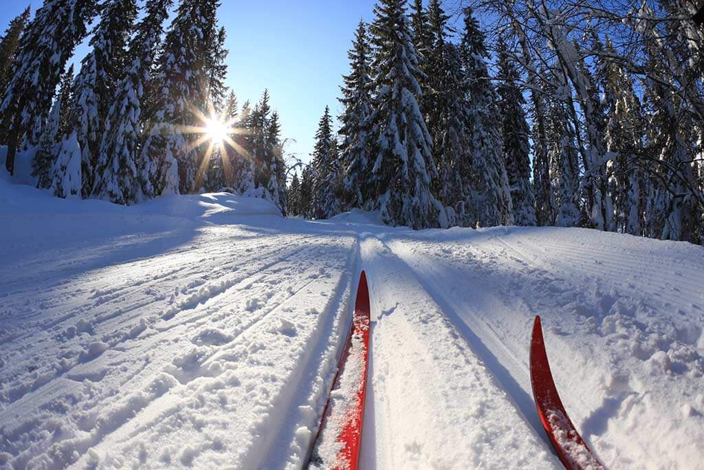 Ein Paar Ski beim Langlauf im Wald.