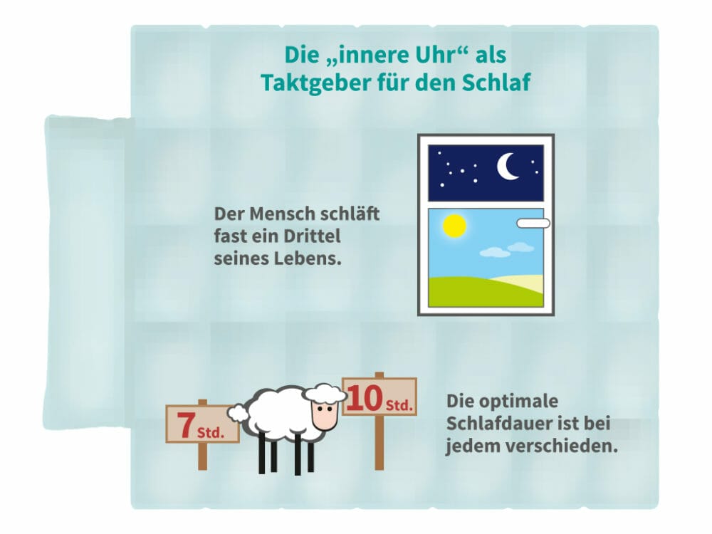 Jeder Mensch besitzt seine eigene, optimale Schlafdauer