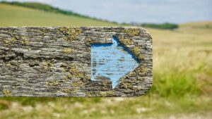 Holzschild mit blauem Pfeil der in eine Richtung zeigt